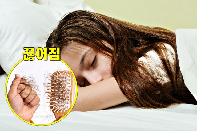 머리 안말리고 자면, 머리카락 끊어짐, 팁줌