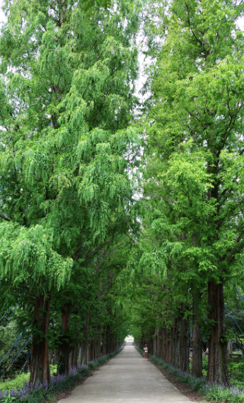 봄 향기 가득한 감성 소도시 여행지 추천