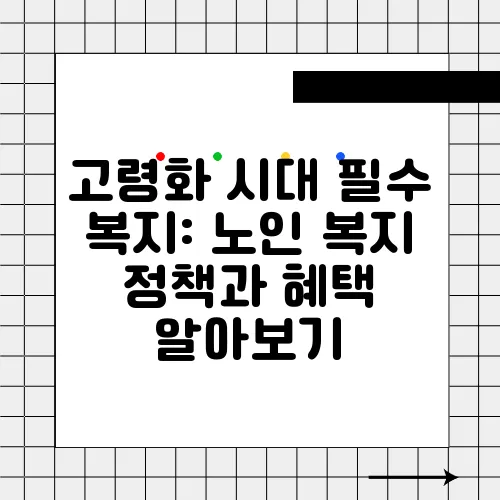 고령화 시대 필수 복지: 노인 복지 정책과 혜택 알아보기