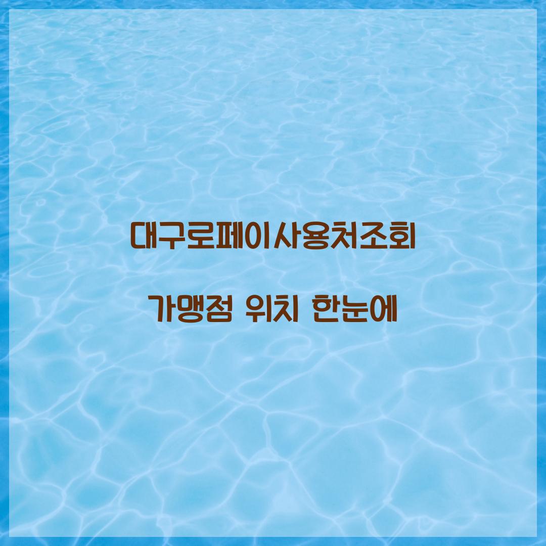 대구로페이사용처조회