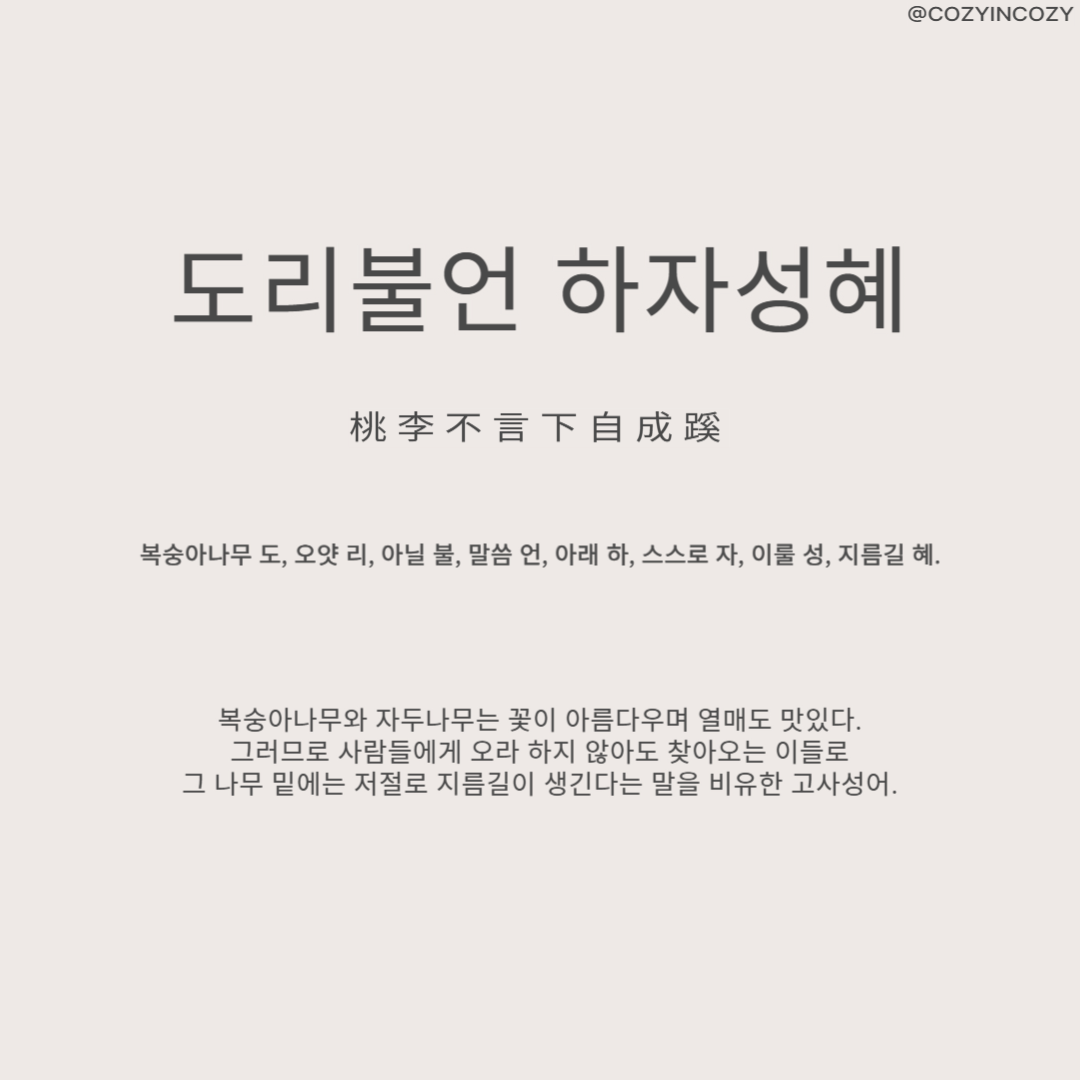 도리불언