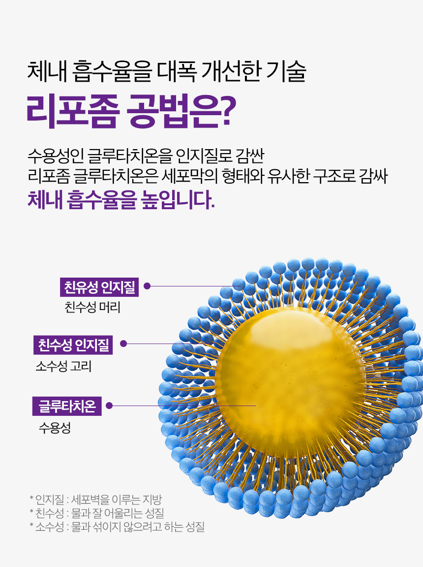 리포좀 공법에 대한 설명 출처 : 비카인 공식스토어