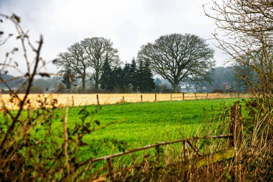 귀농 초보가 처음부터 큰 계획을 세우면 힘들어지는 이유