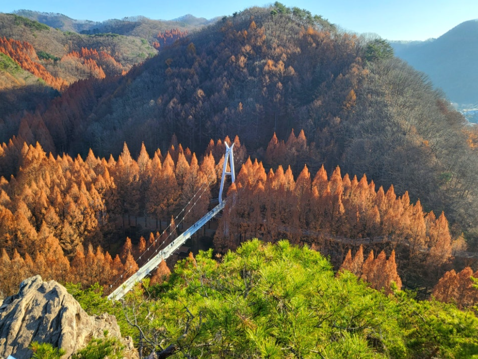 대전 가볼만한곳 베스트10