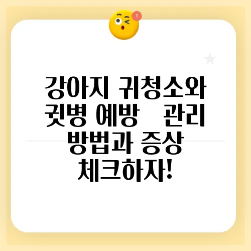 강아지 귀청소와 귓병 예방 – 관리 방법과 증상 체크하자!