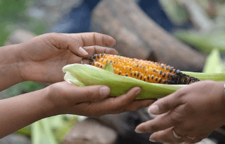 고향사랑 기부제 세액공제 답례품