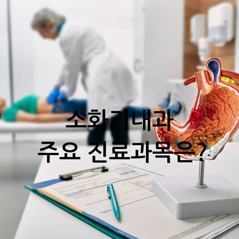 소화기내과 진료과목