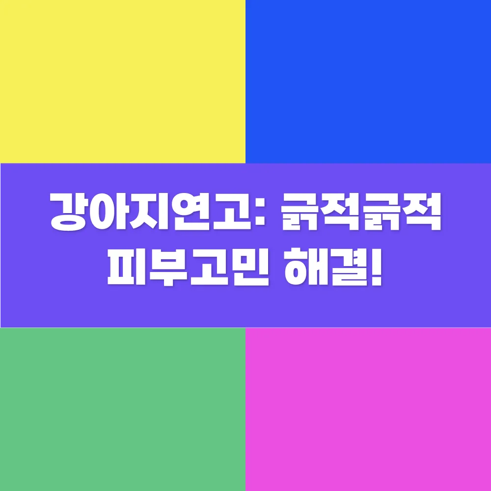 썸네일 이미지