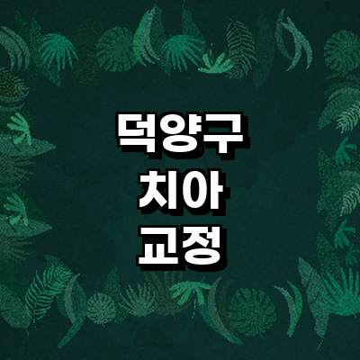 고양 덕양구 교정 치과