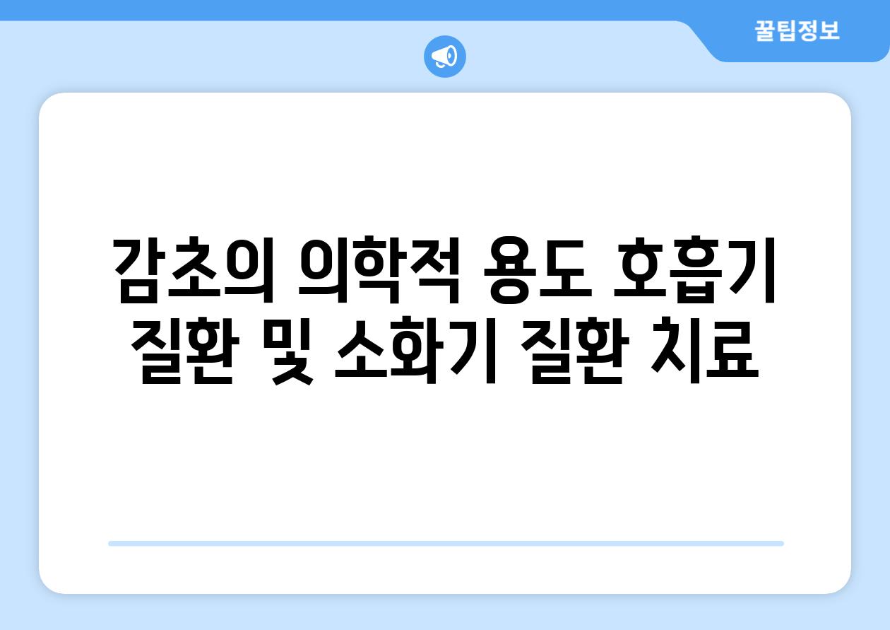 감초의 의학적 용도 호흡기 질환 및 소화기 질환 치료