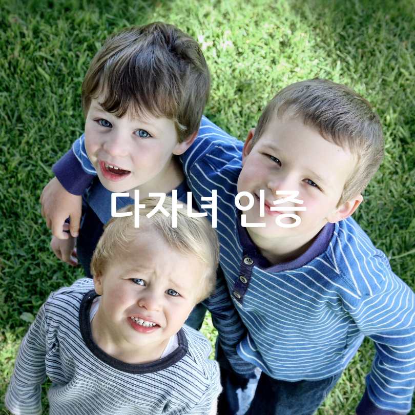 K-패스 확대 혜택