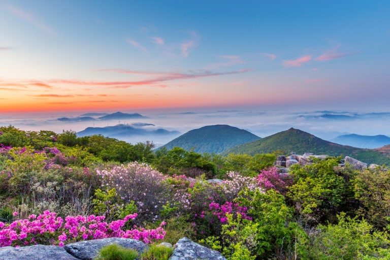2025 대한민국 숙박세일 페스타, 광주 가을·겨울 여행 - 혜택 총정리 관련 사진