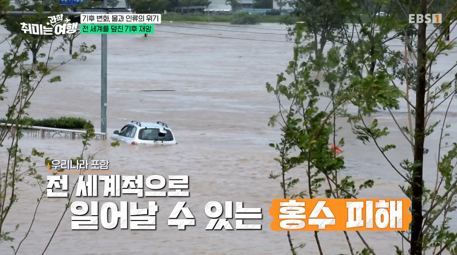 우리나라도 이제는 안전하지 않다는 이 자연재해.jpg | 인스티즈