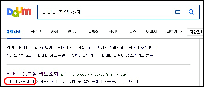 티머니 잔액조회 21