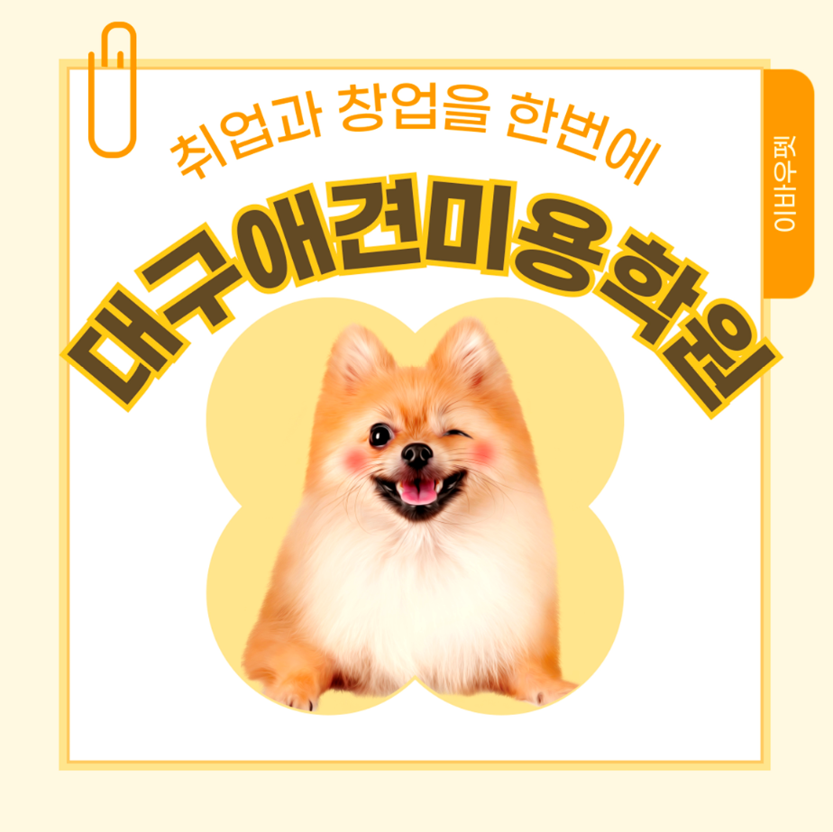 대구강아지미용학원