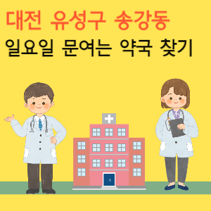 대전 유성구 송강동 일요일 문여는 약국 찾기