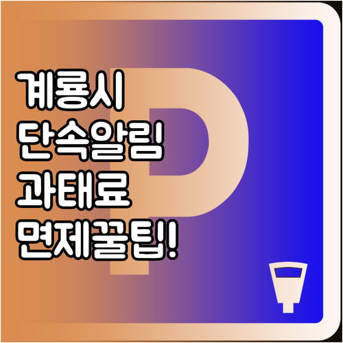 계룡시 주정차단속알림 서비스 신청 및..