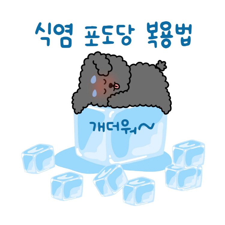 식염 포도당 복용법: 1회·1일 권장량과 섭취 타이밍 완벽 정리