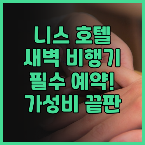 이비스 버짓 니스 에어포트 추천 후기..