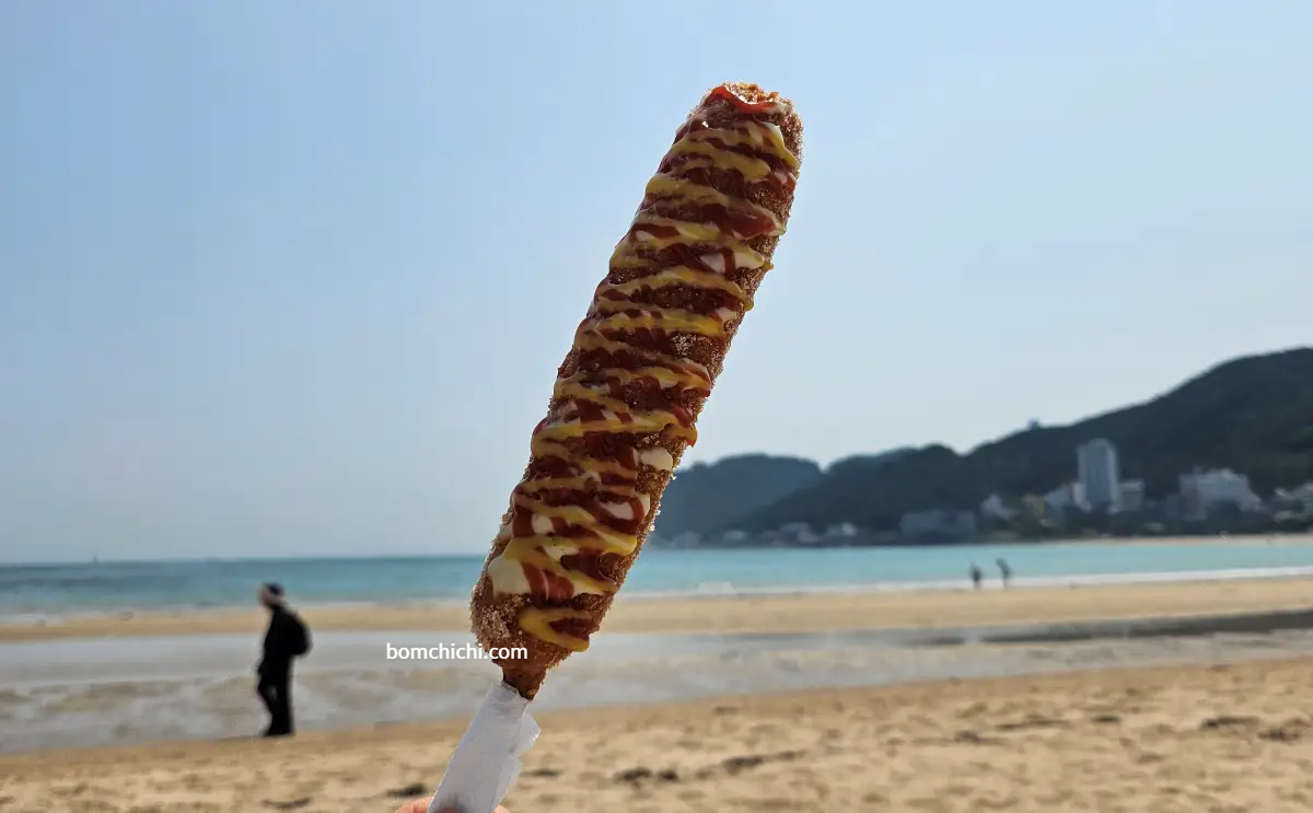 바다를 배경으로 찍은 핫도그 사진
