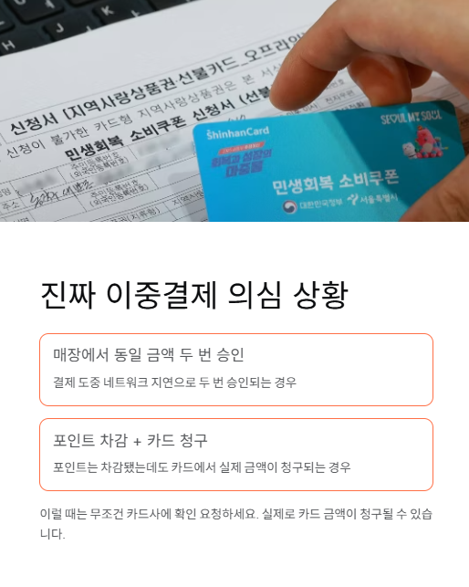진짜 이중결제 의심 상황