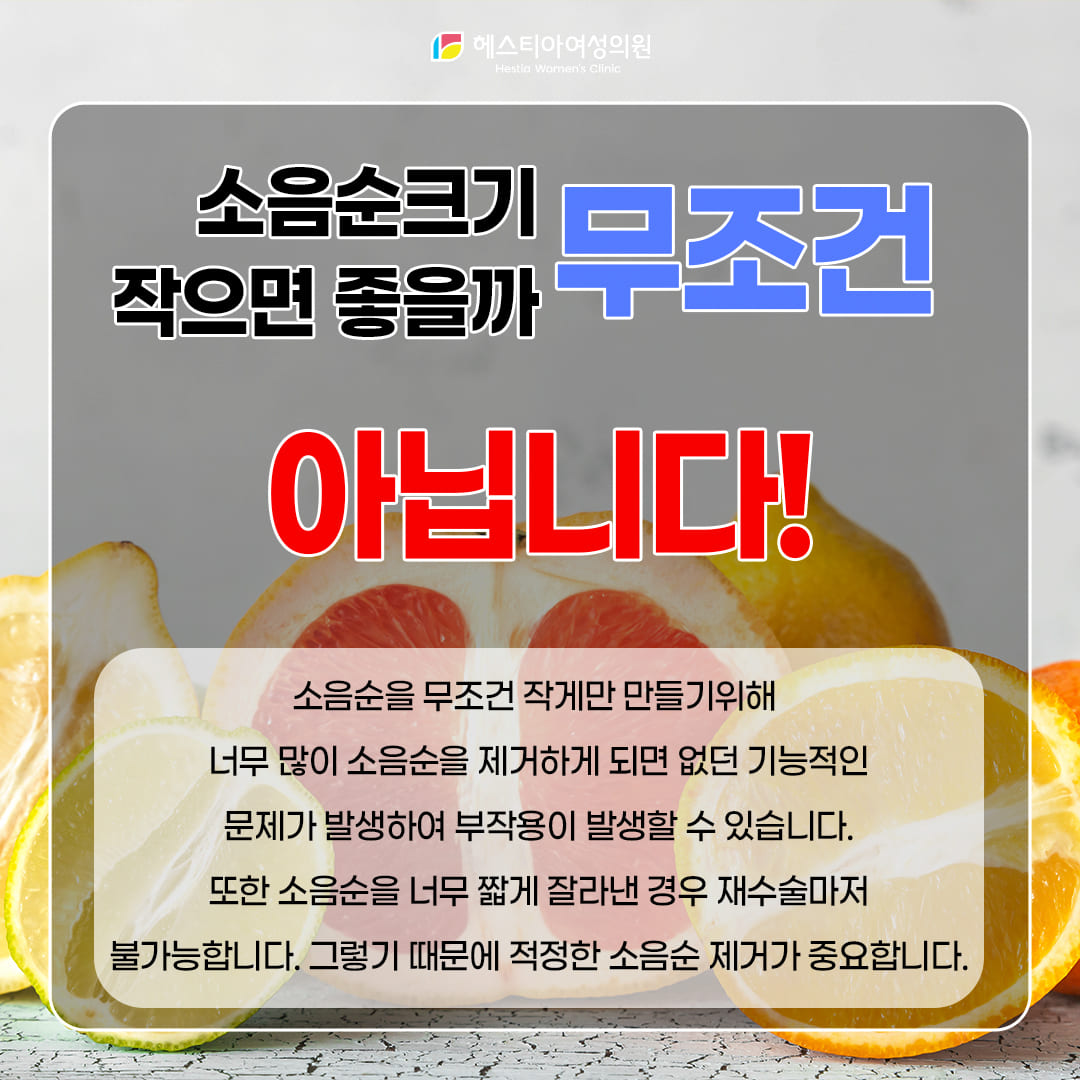 소음순크기