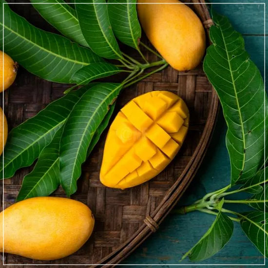 당뇨에 나쁜 과일 망고1