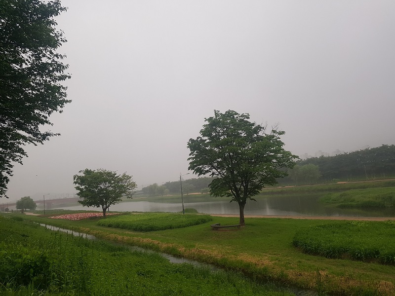 하루 만보 걷기