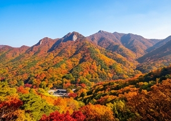 2026 내장산 단풍 절정 시기