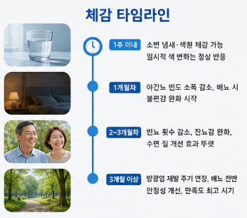 bn01요습관정품-가품-차이-효능-성분-가격-복용-후기