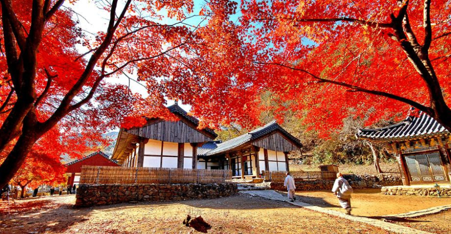 공주 가볼만한곳