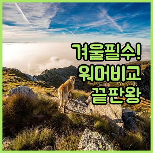 지퍼형 방한 워머부터 벨벳 무릎 워머..