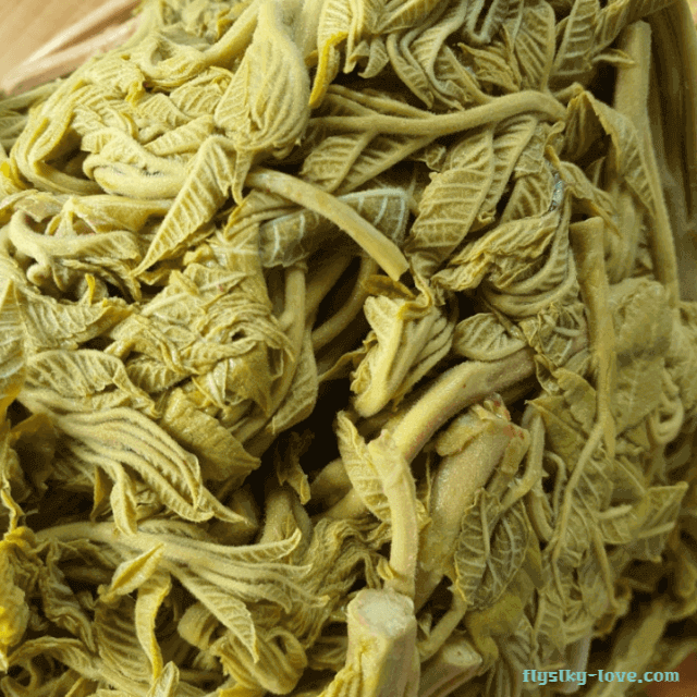 붉나무 순 나물