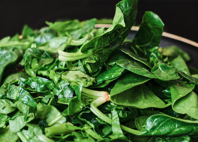 시금치에 포함된 루테인은 지방과 함께 섭취하면 흡수율이 올라간다.