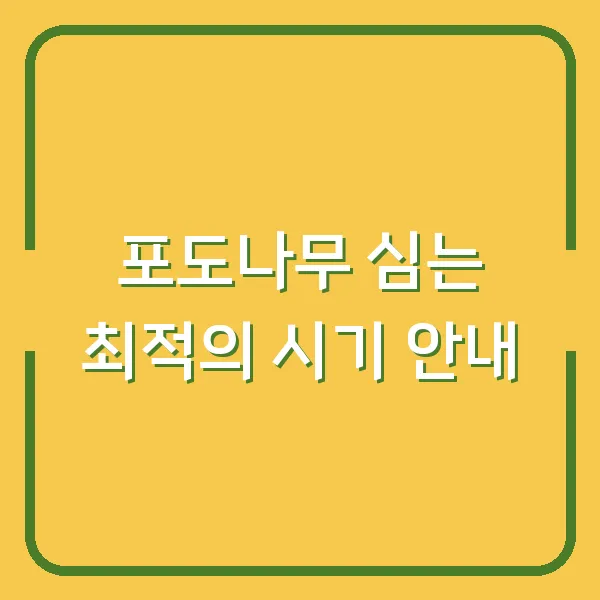포도나무 심는 최적의 시기 안내