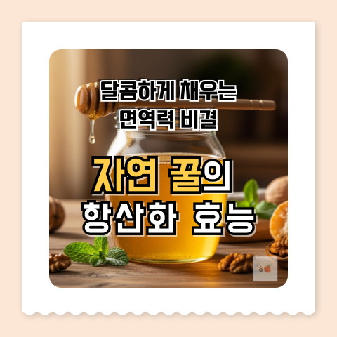 꿀 효능으로 채우는 자연의 면역력 비밀