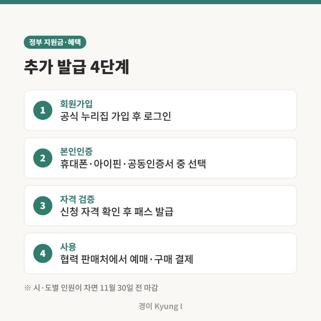 청년문화예술패스 추가 발급 신청 4단계 안내 카드