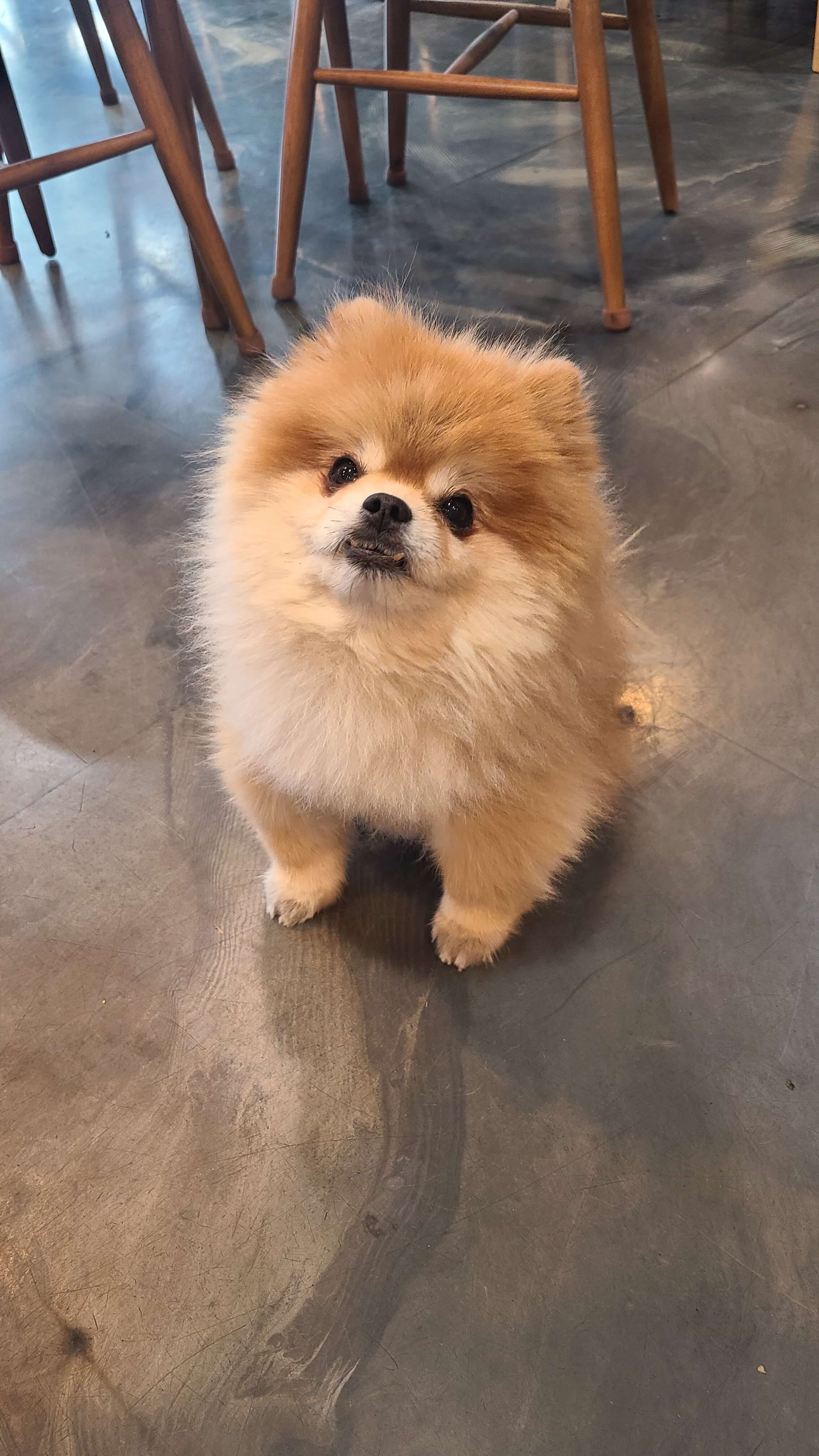 레트로카페-트레이더-레오-2