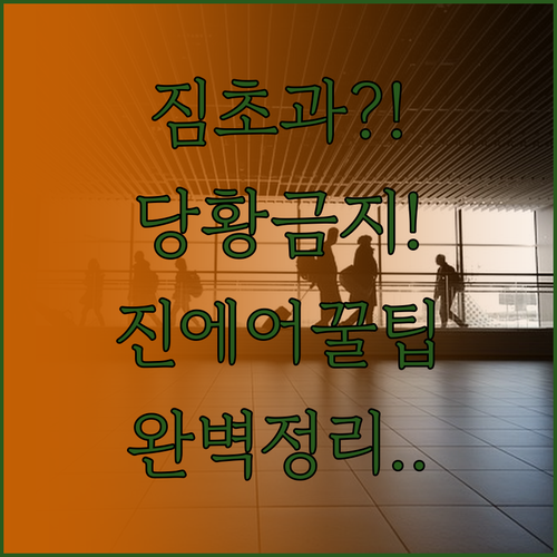 공항에서 짐 초과 당황하지 않으려면?..