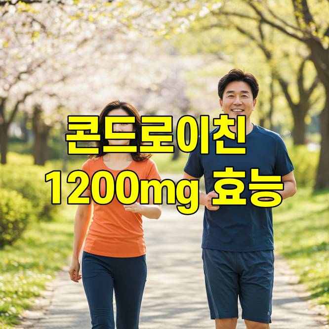 콘드로이친 1200mg 효능 총정리