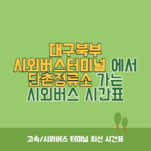 대구북부시외버스터미널에서 단촌정류소 가는 시외버스 시간표 최신정보
