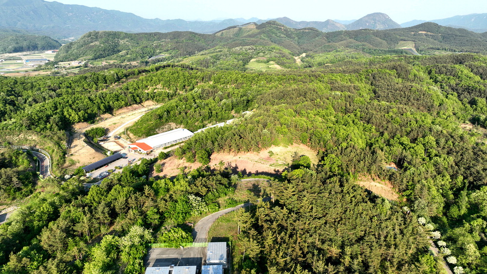 군위군 사진