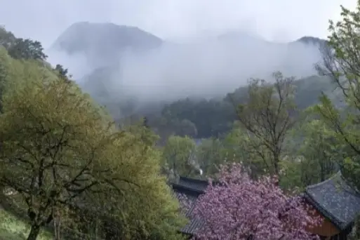 순천-송광사-템플스테이-힐링-예약-가격-프로그램