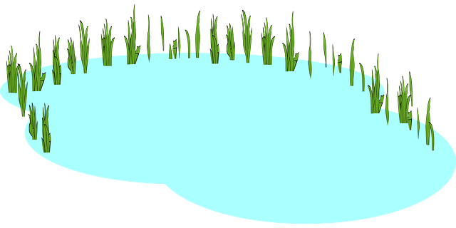 호수 관련 사진
