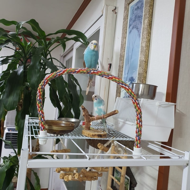 긴 수명과 매우 깨끗한 새