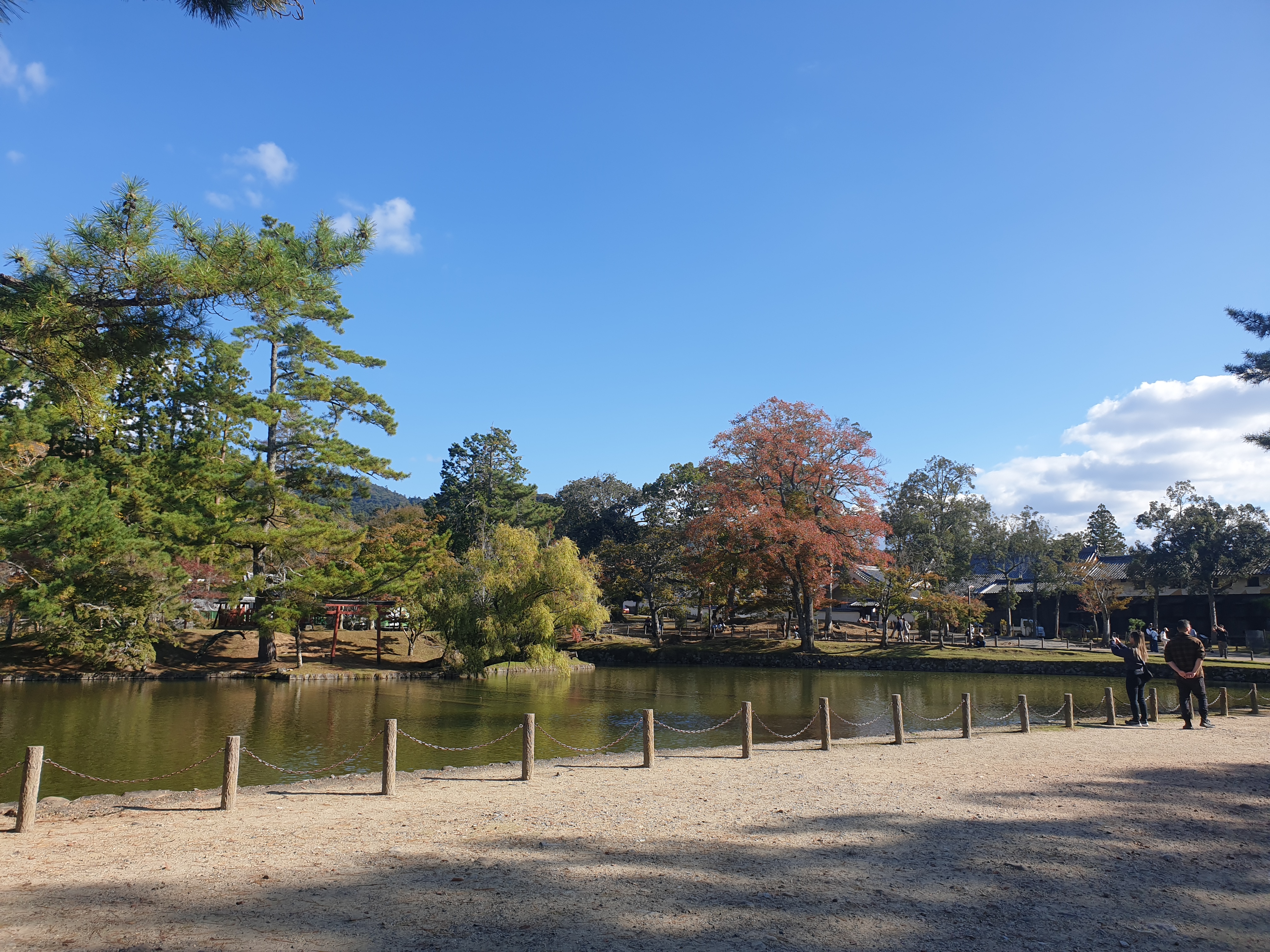 일본 나라현에 있는 1500년 사찰 동대사 연못