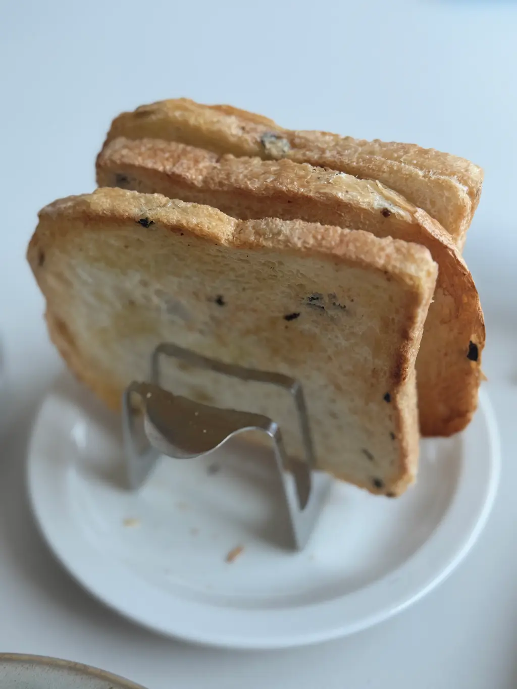 토스트랙에 있는 올리브식빵 토스트