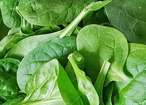 글루타치온 효능