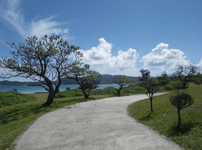 오키나와 1월 날씨