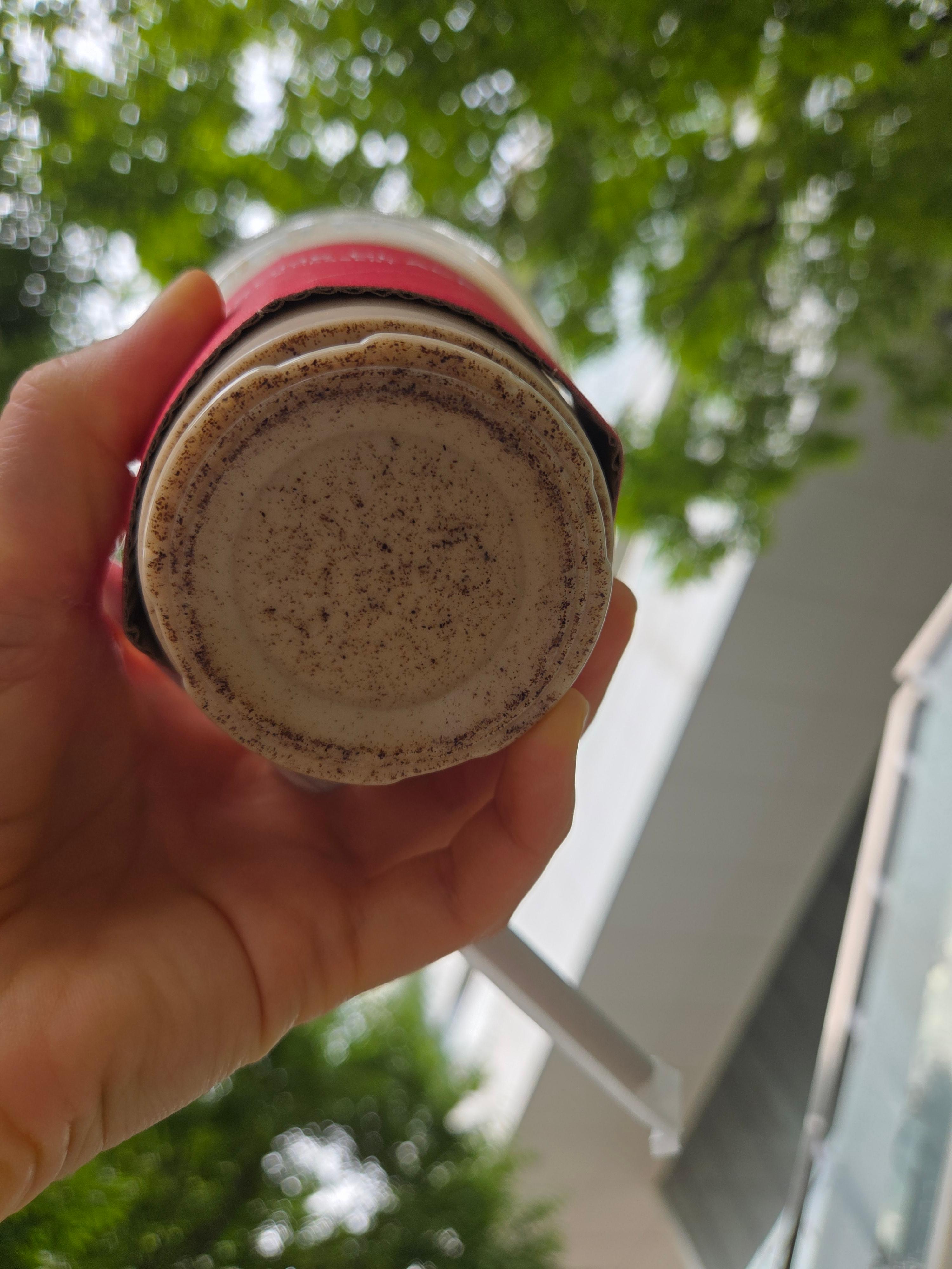 투썸플레이스 바닐라빈 콜드브루 라떼 컵 바닥에 고르게 가라앉은 바닐라빈 가루 모습